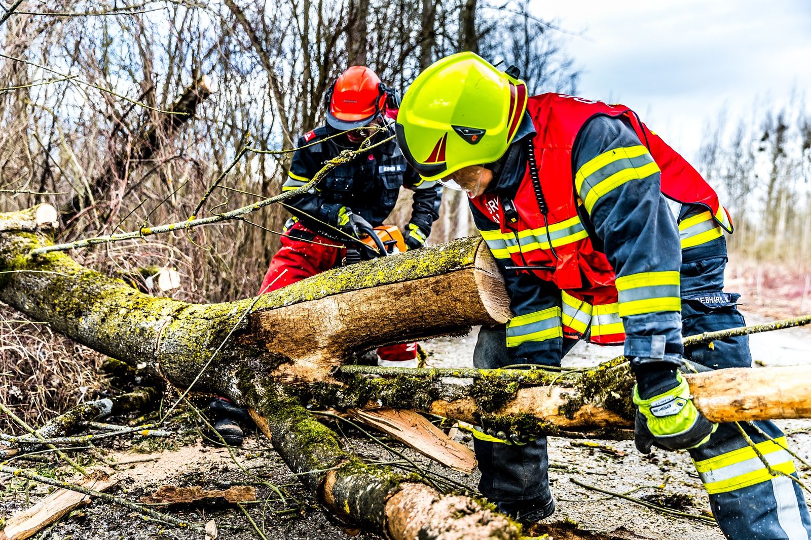 Rescue crew clearing a fallen tree after a storm