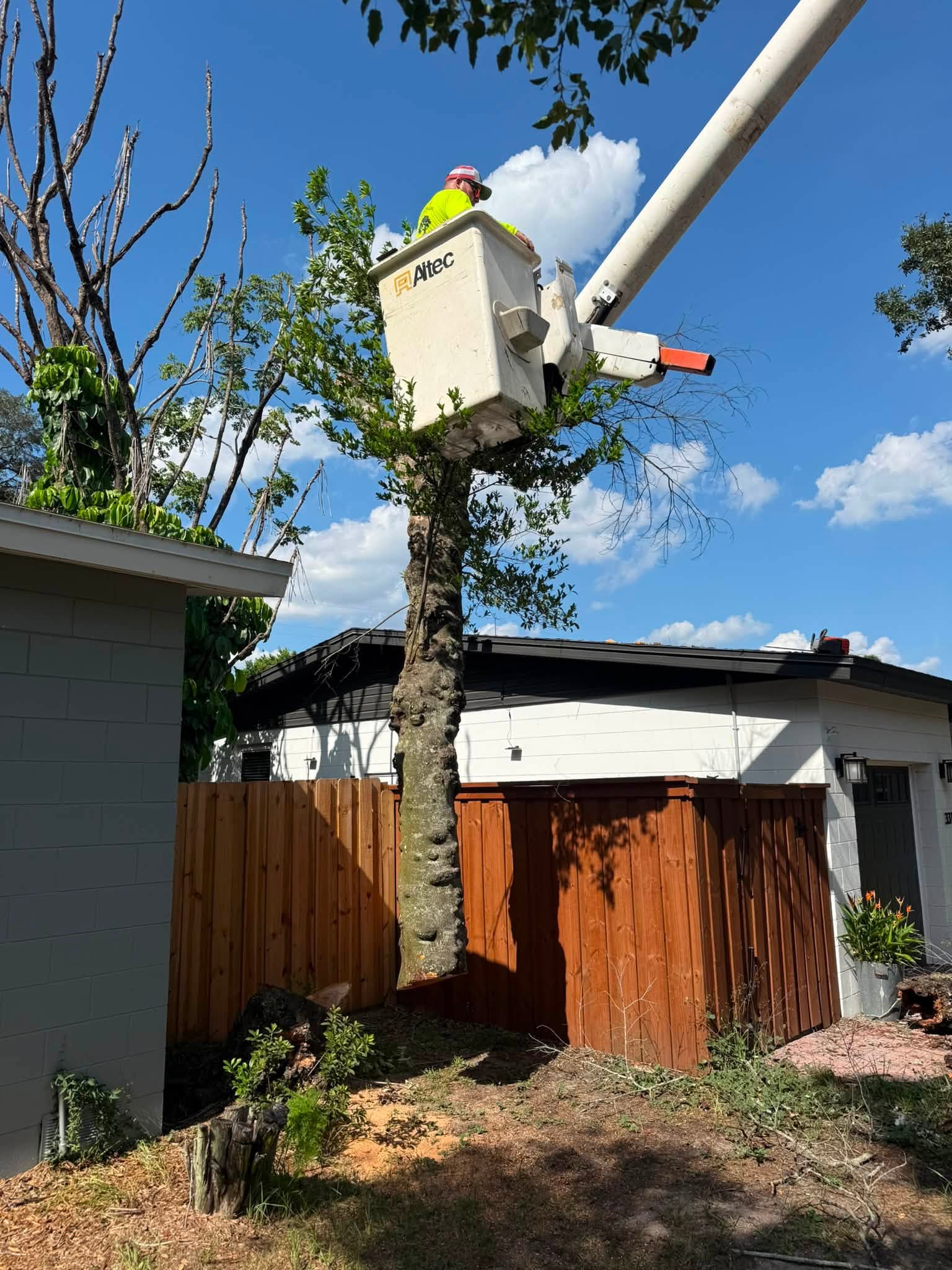 Tree service near me in Brooksville, FL